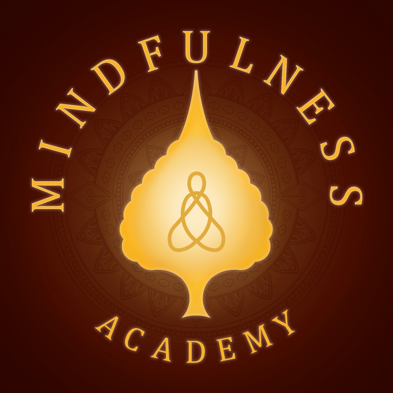 Mindfulness Academy